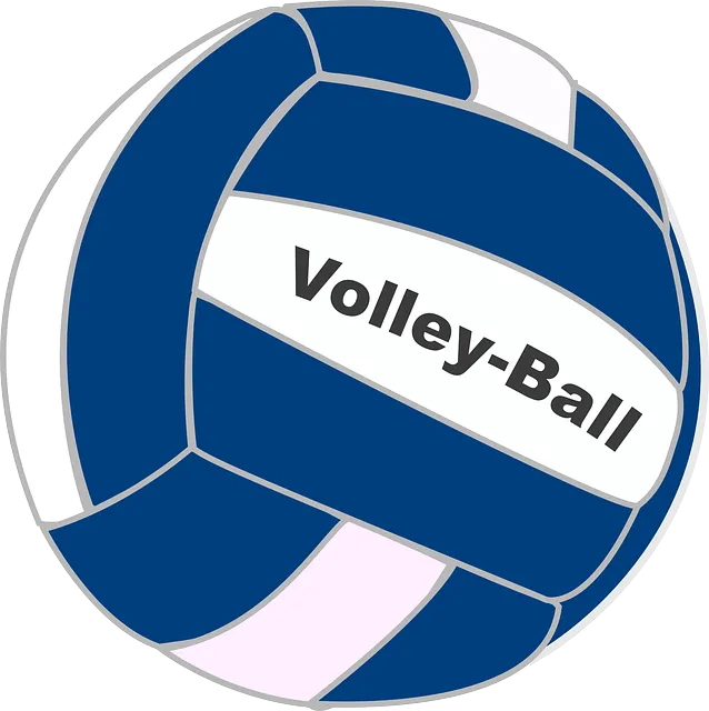 volleyball 309900 640