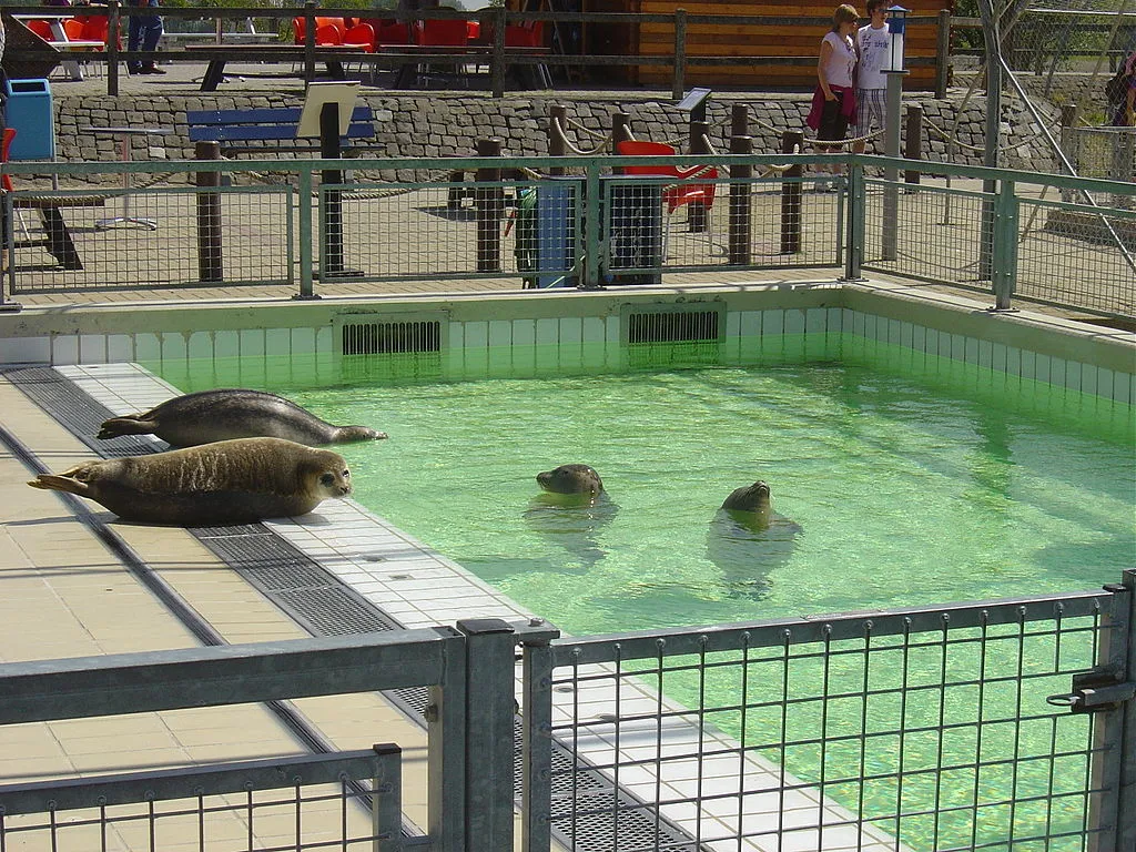 1024px pieterburen zeehondencrche 4 cc by sa 30 ben pirard wikipedia commons