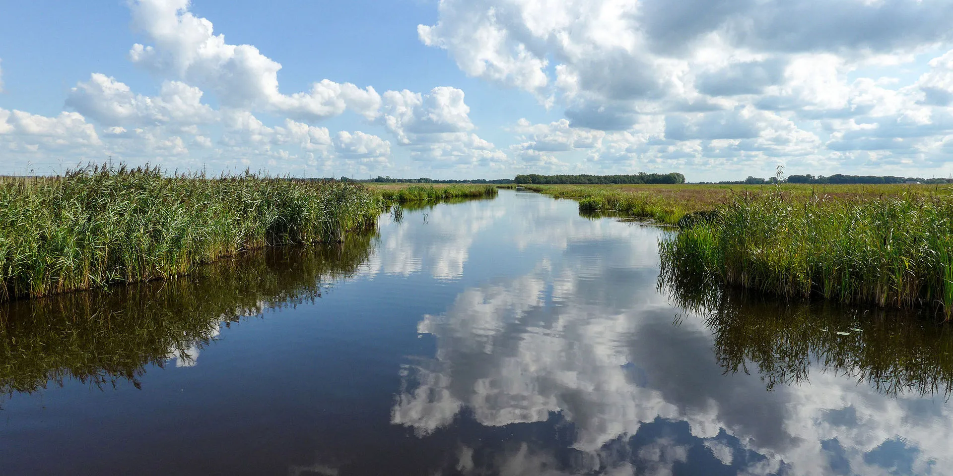 140827 onlandsche wijk de onlanden dr nl cc by sa 30 wutsje