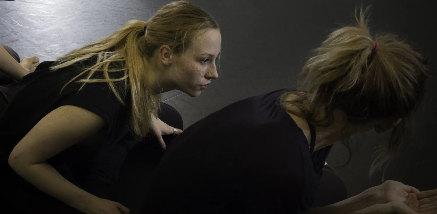 20160420 persfoto ens dansvoorstelling