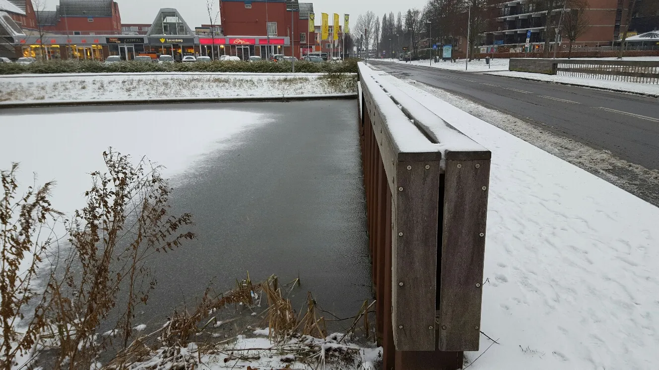 20170107 094210 resized