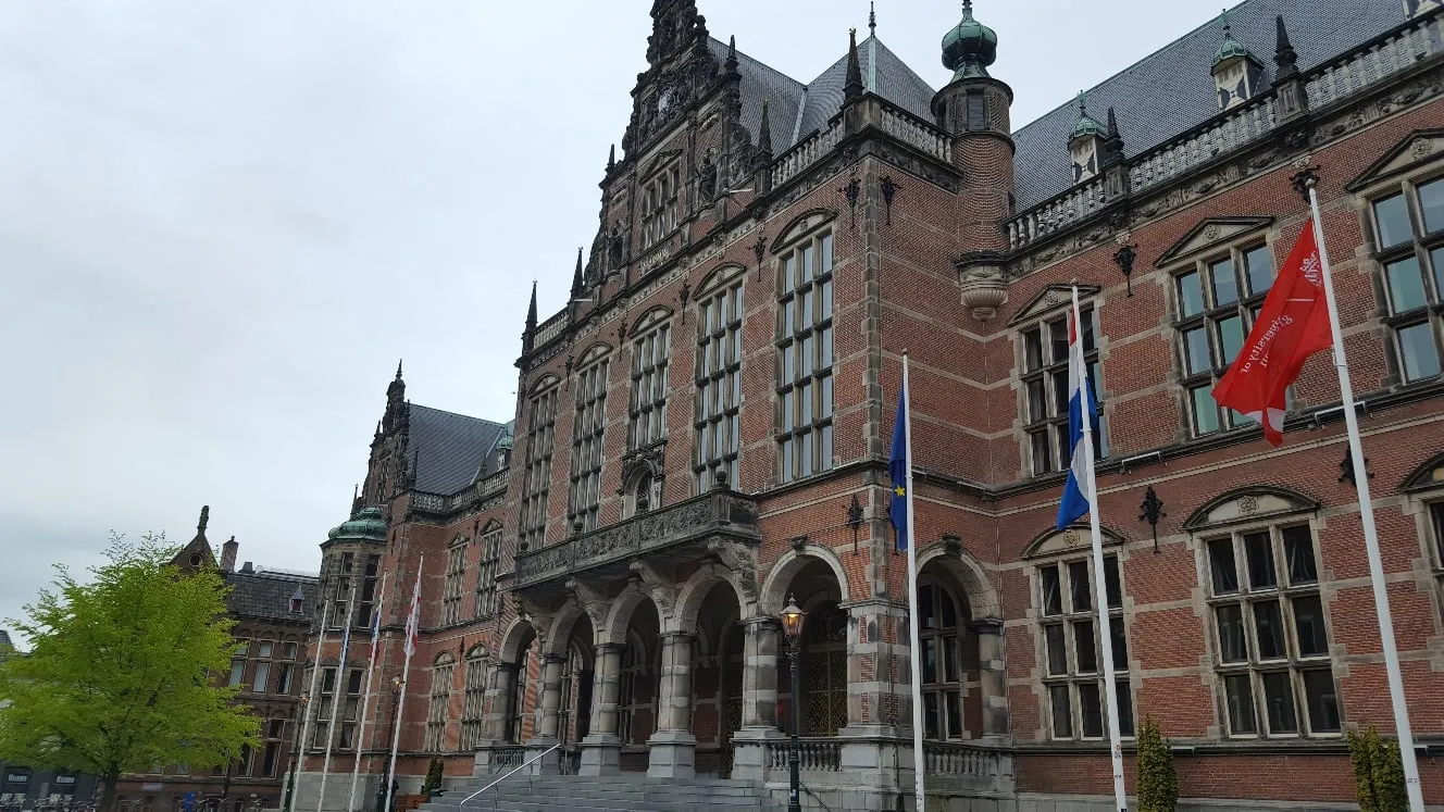 20170505 113750 resized 1 rug