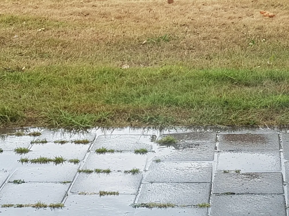 20180808 125117 resized