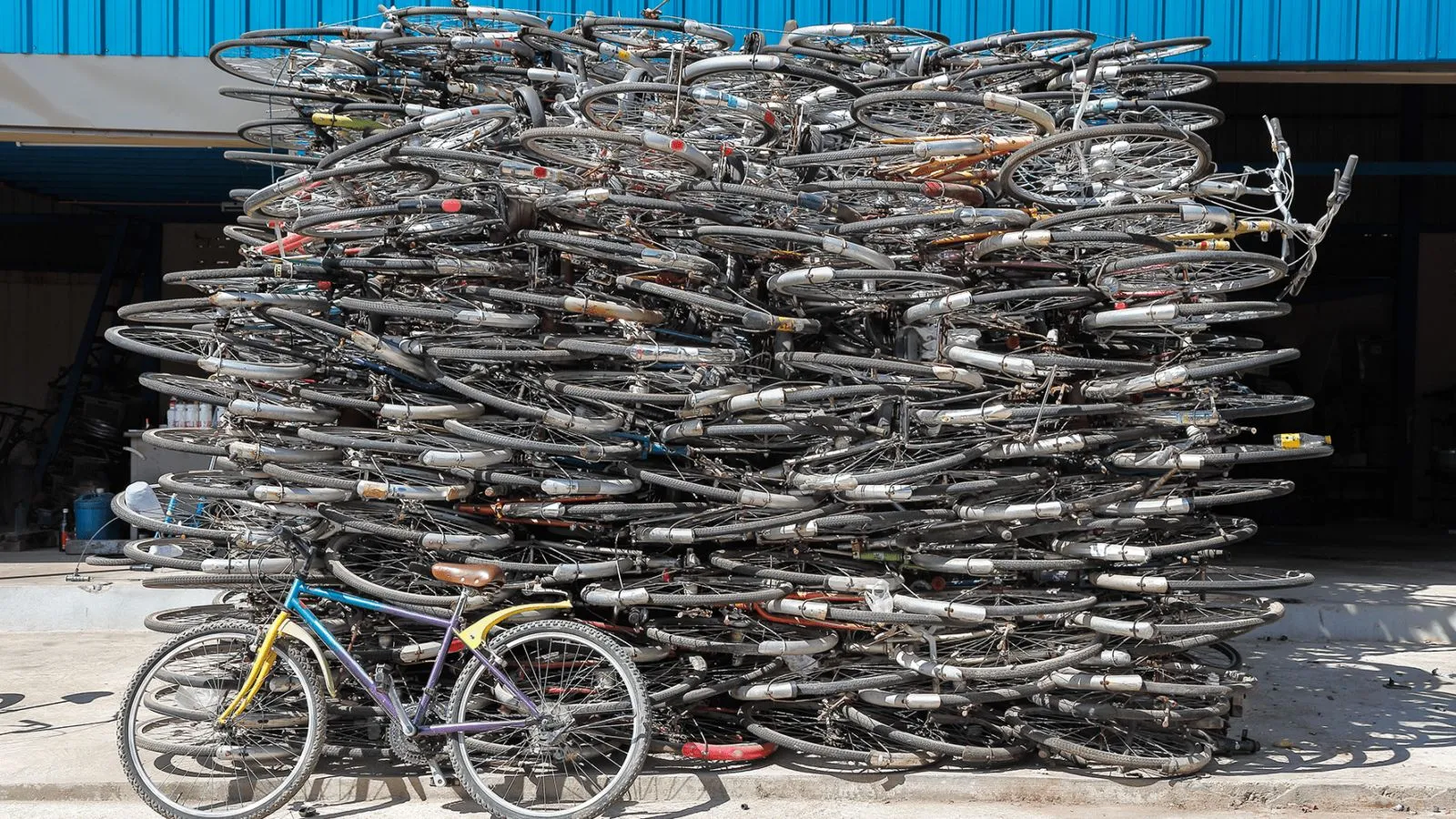 312152359 425793003062031 509584929726492934 n fietschallenge vismarkt