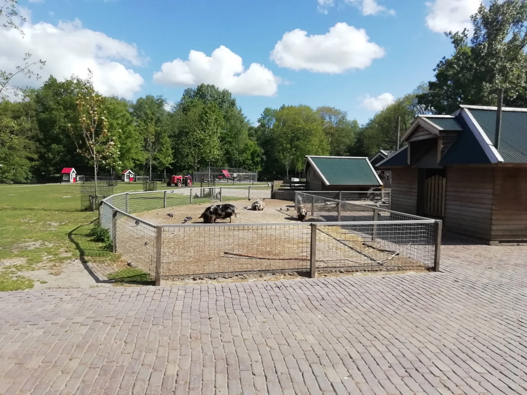 97519684 2601717826713322 7514595521202225152 o kinderboerderij stadspark