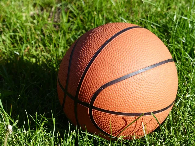 basketball 436088 640