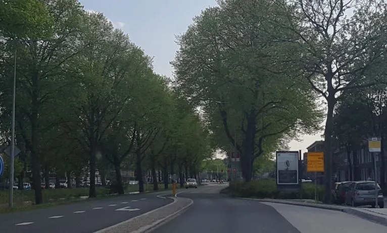 bedumerweg 1 de redactie