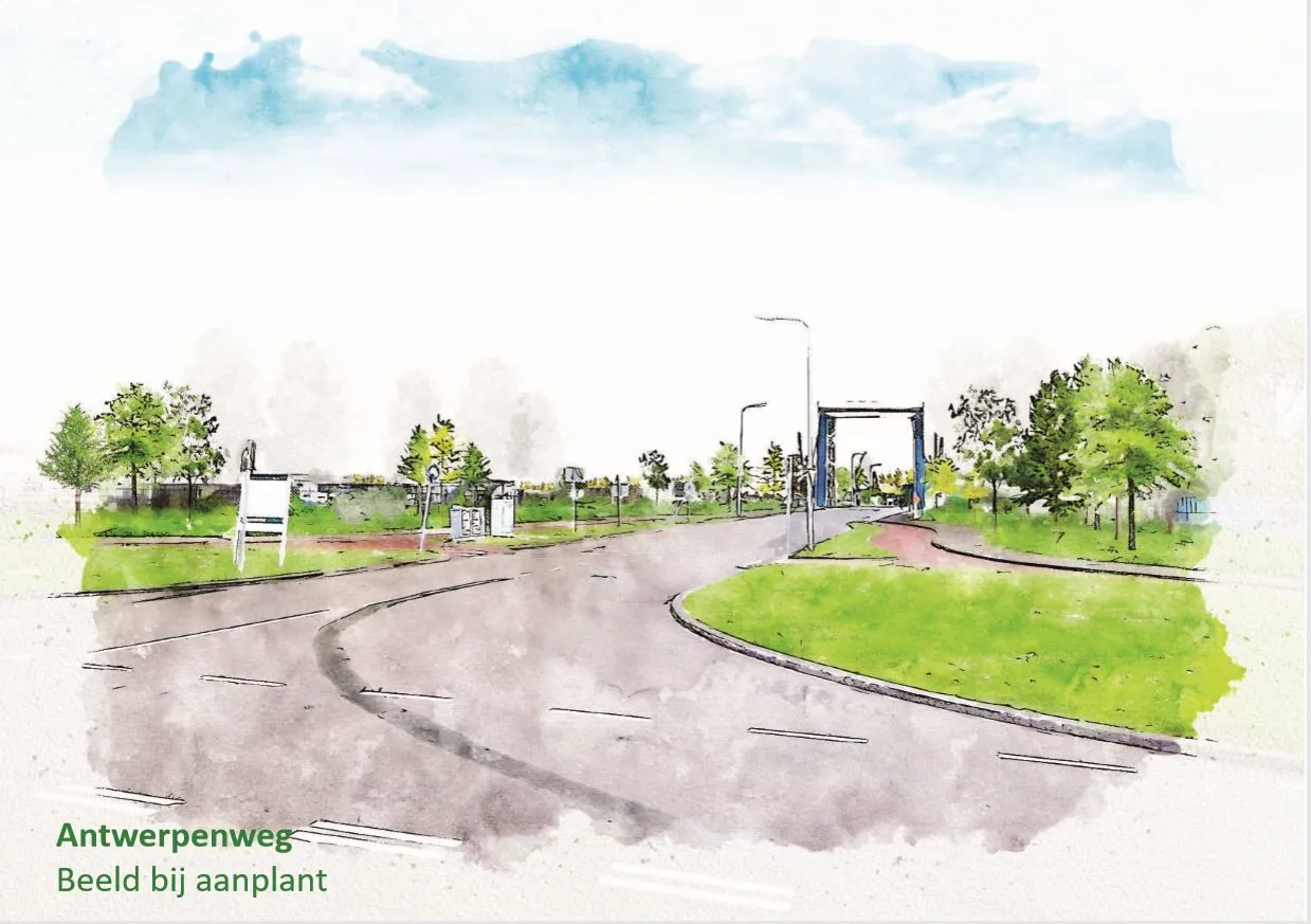 beeld bij aanplant