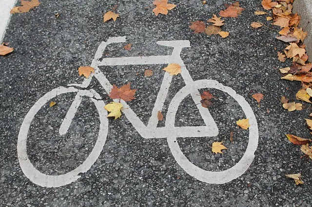 bicycle path 491313 640