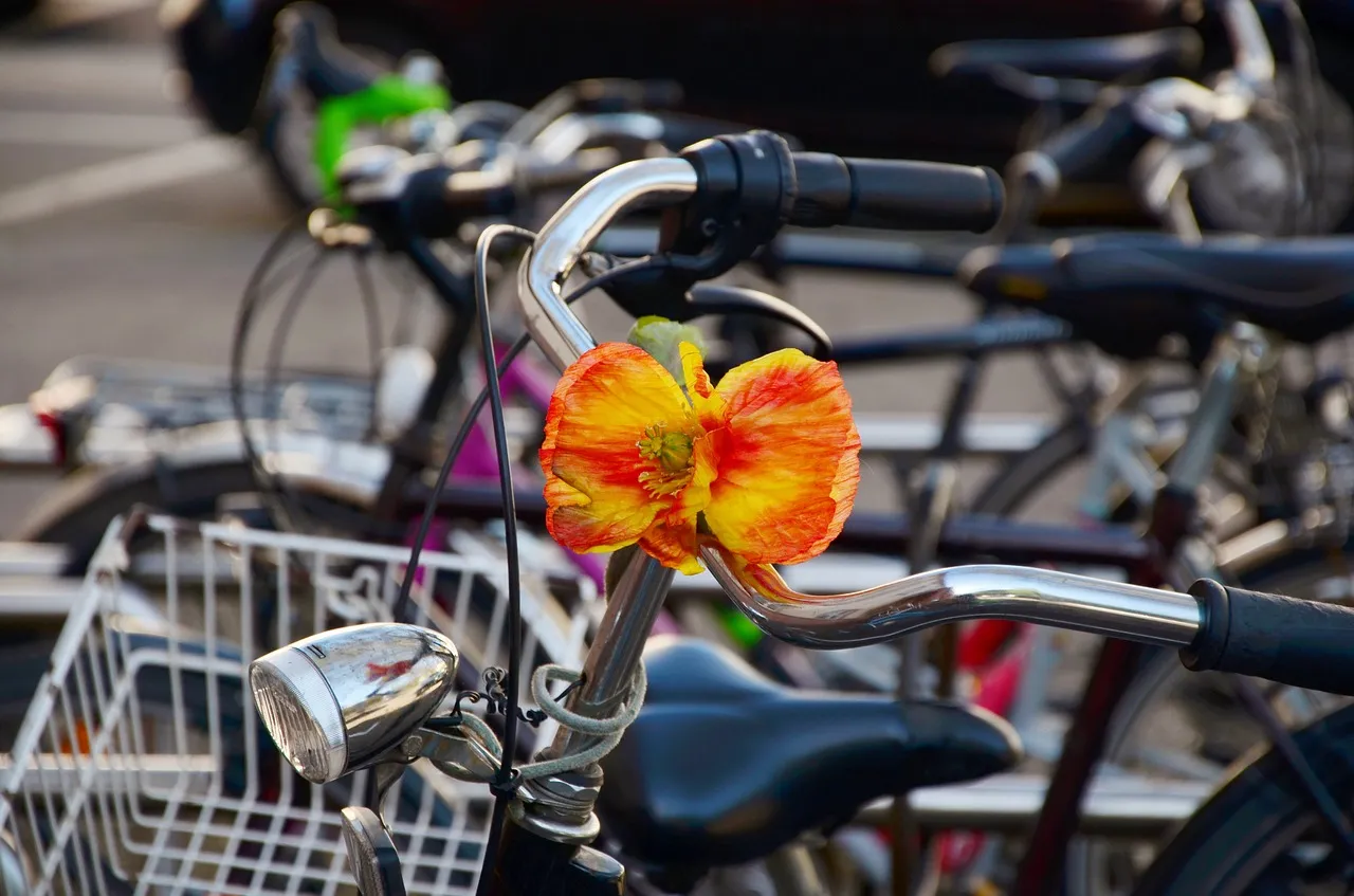 bike 1345383 1280