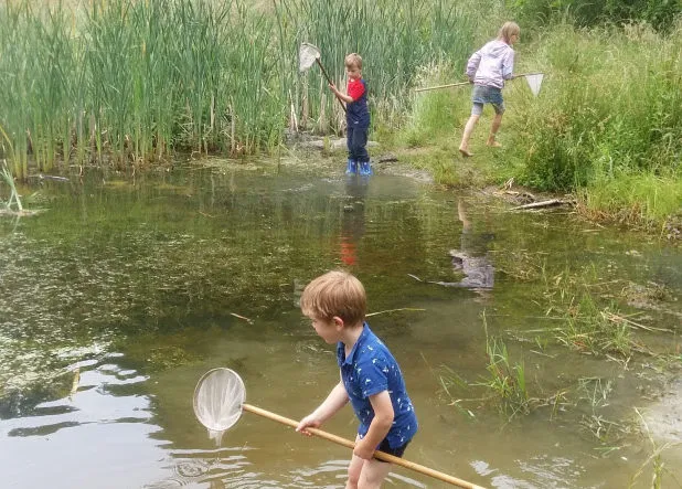 boerderijum beijum e1529168668405