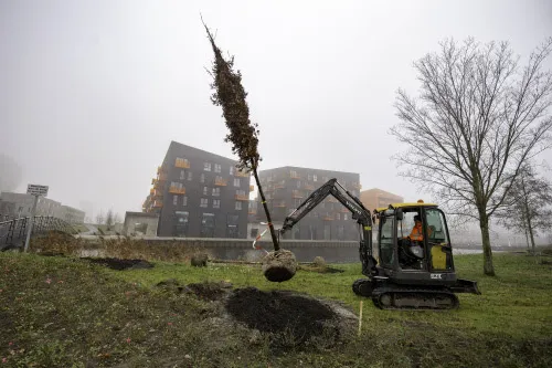 bomen helperpark