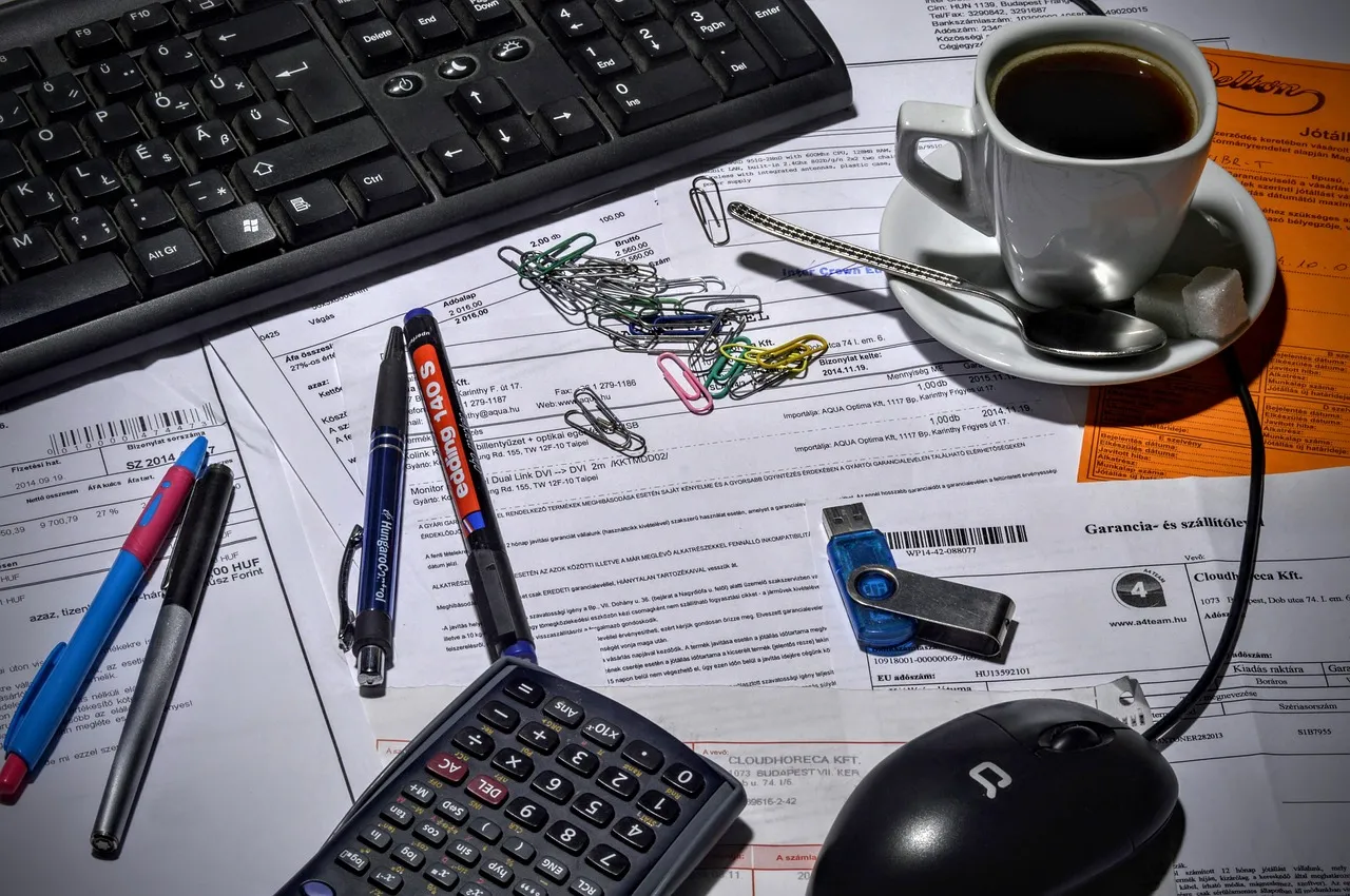 bookkeeper 1016299 1280 ondernemer financieel