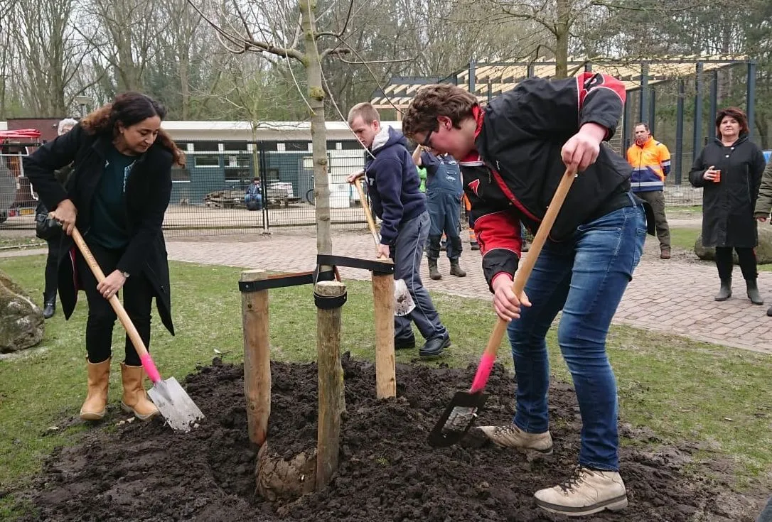 boomplantdag 22 maart 2019