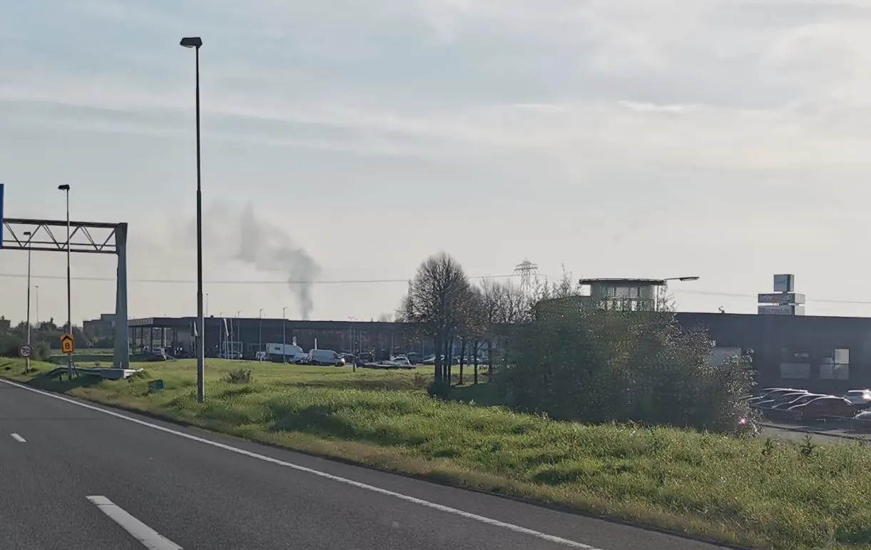 brand haren