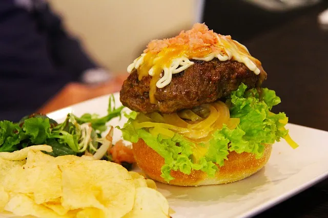 burger 441577 640