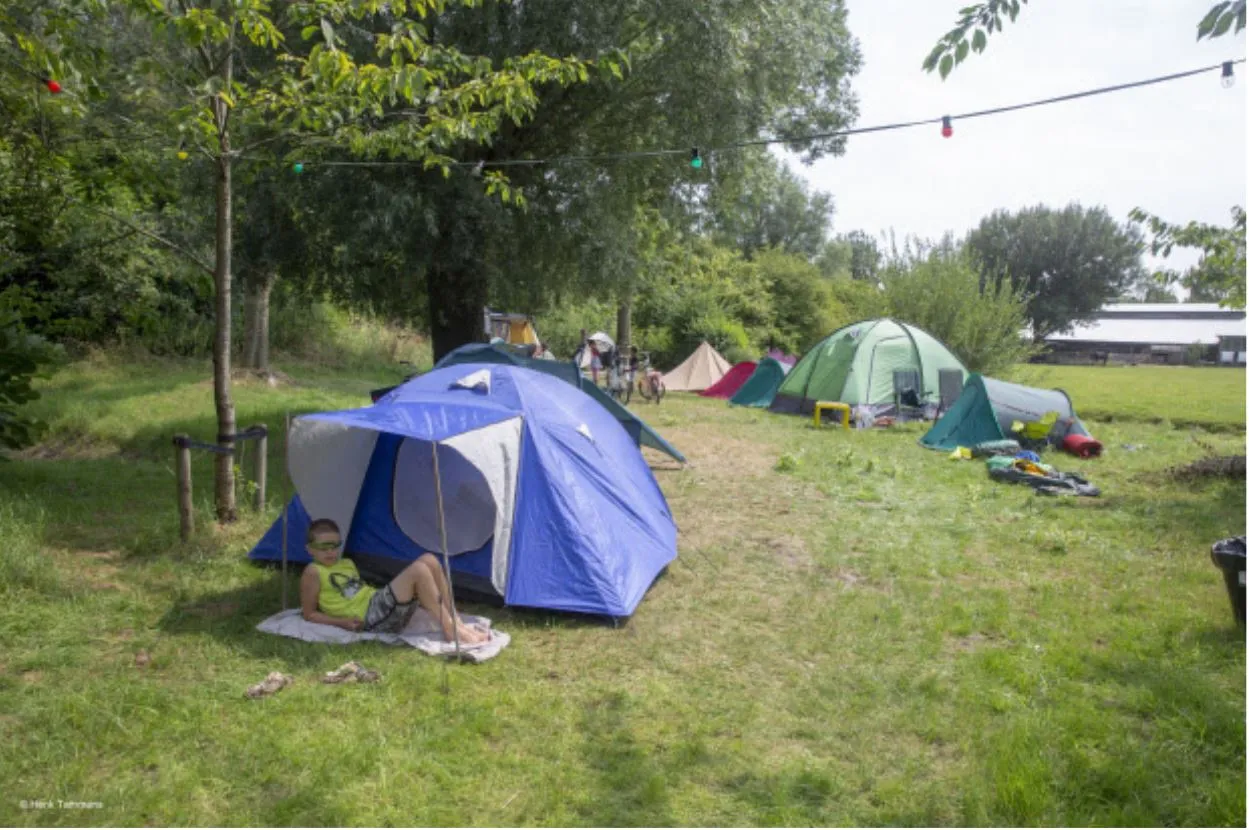 buurtcamping lewenborg