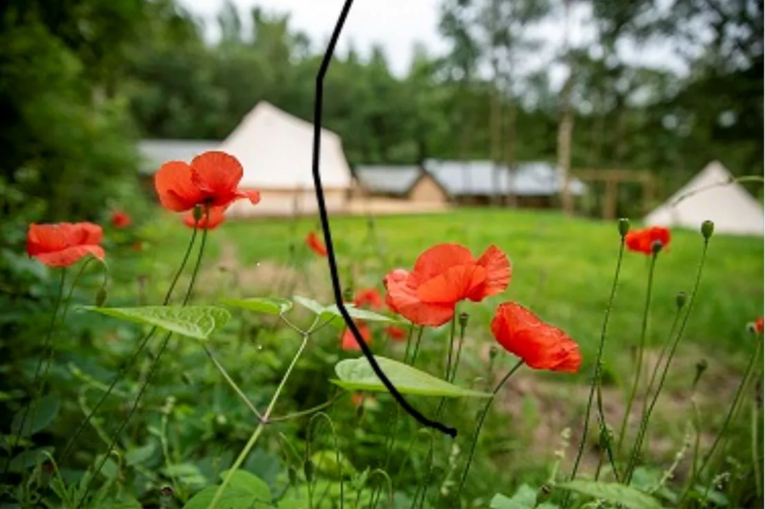 camping de heemtuin