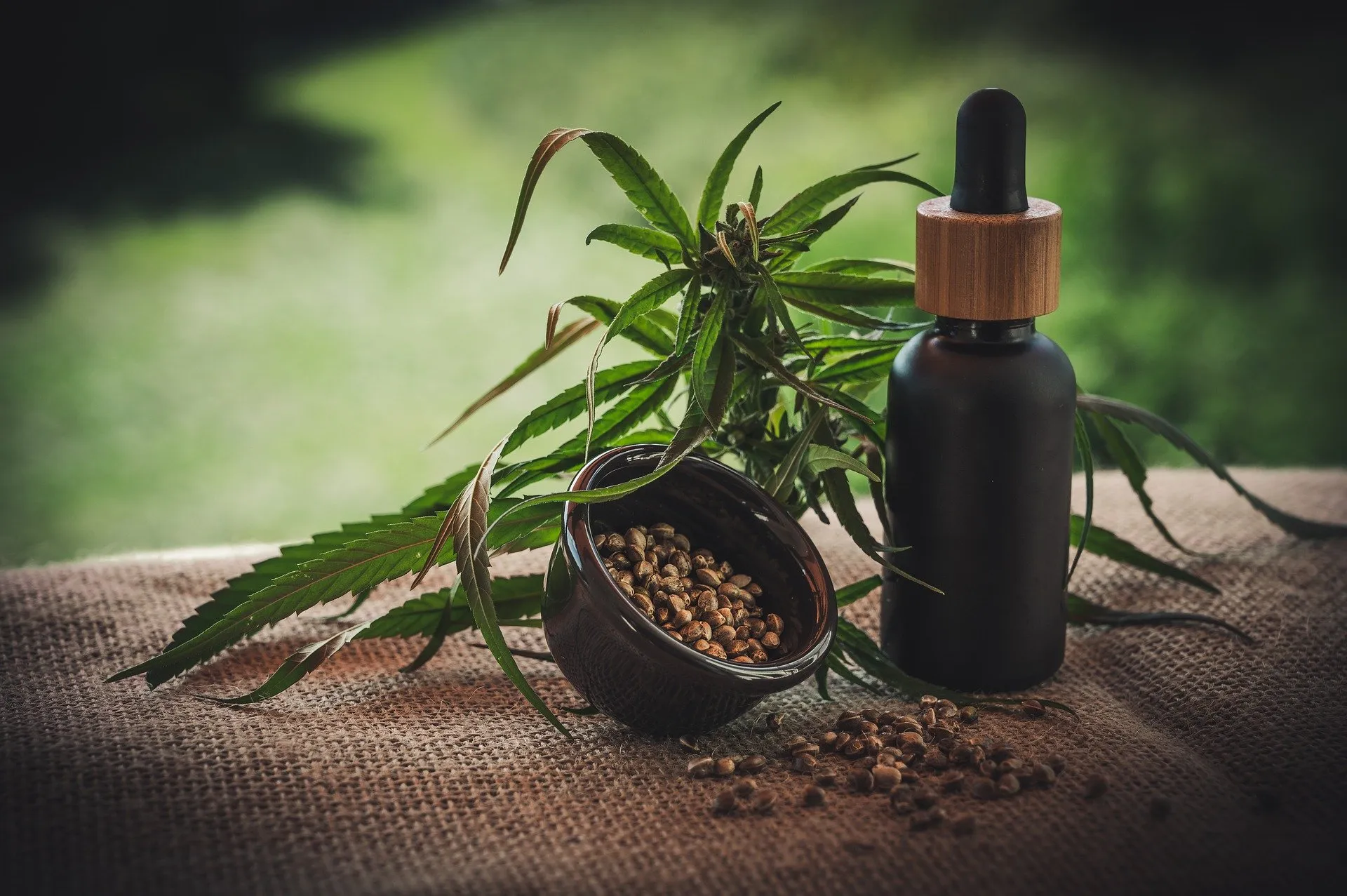 cbd 4474903 1920 julia teichmann via pixabay cannabis