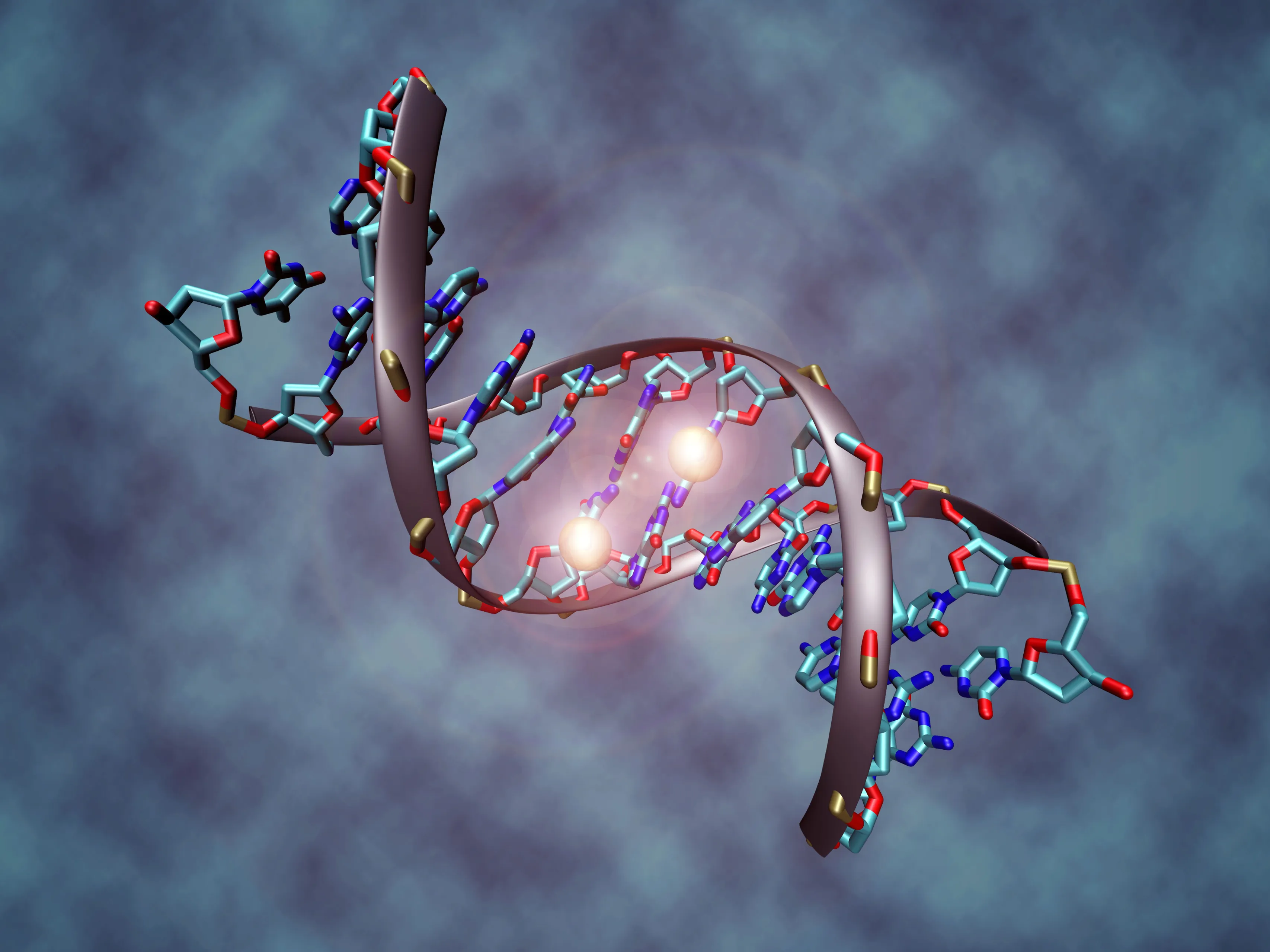 cc by sa 30 via wikimedia commons dna