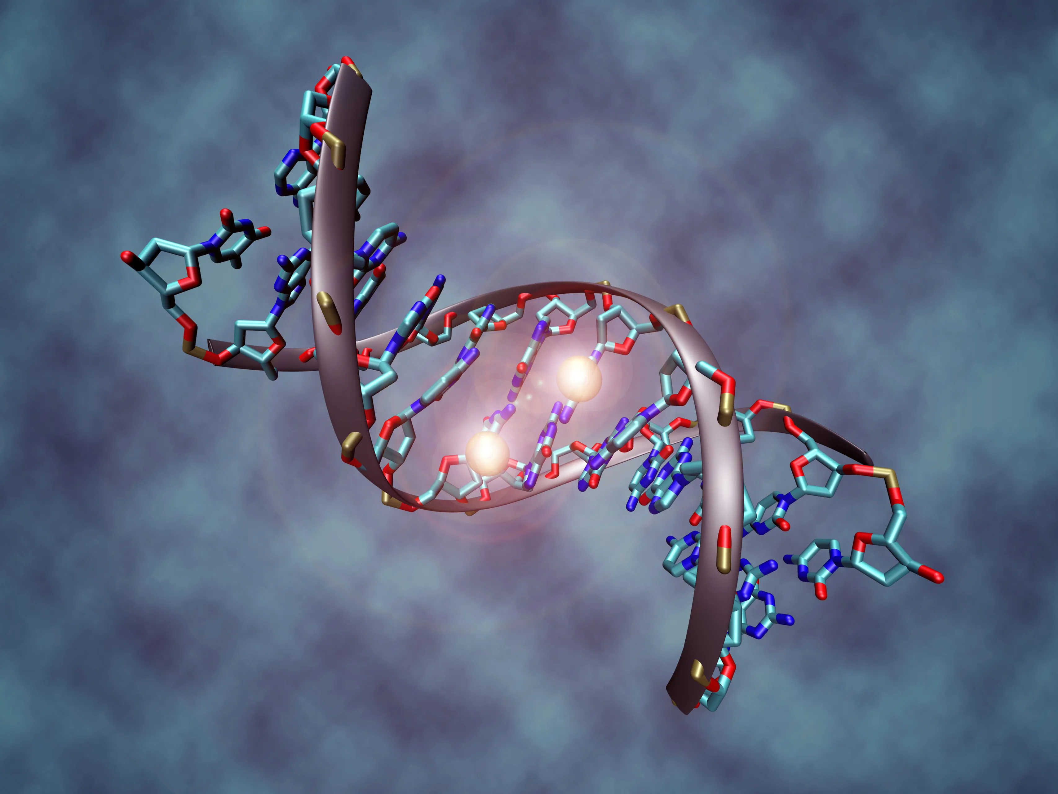 cc by sa 30 via wikimedia commons dna