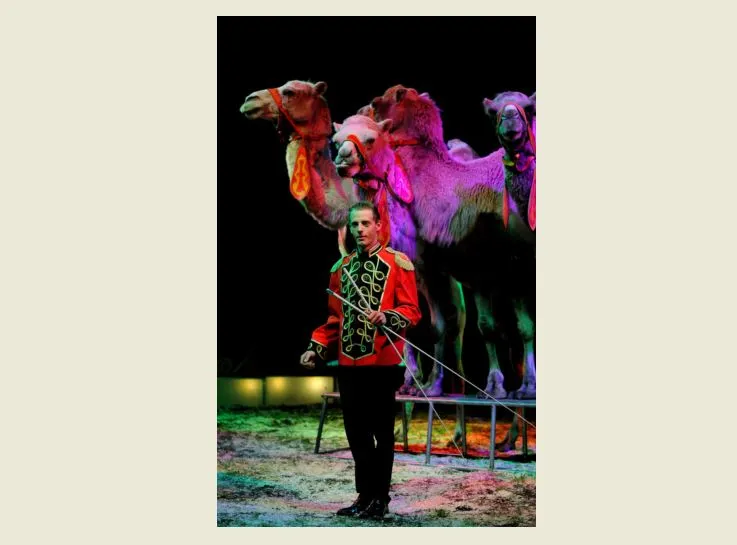 circus renz berlin