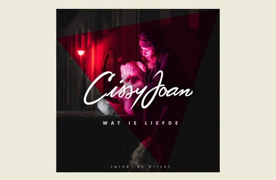 cissy joan urban house groningen