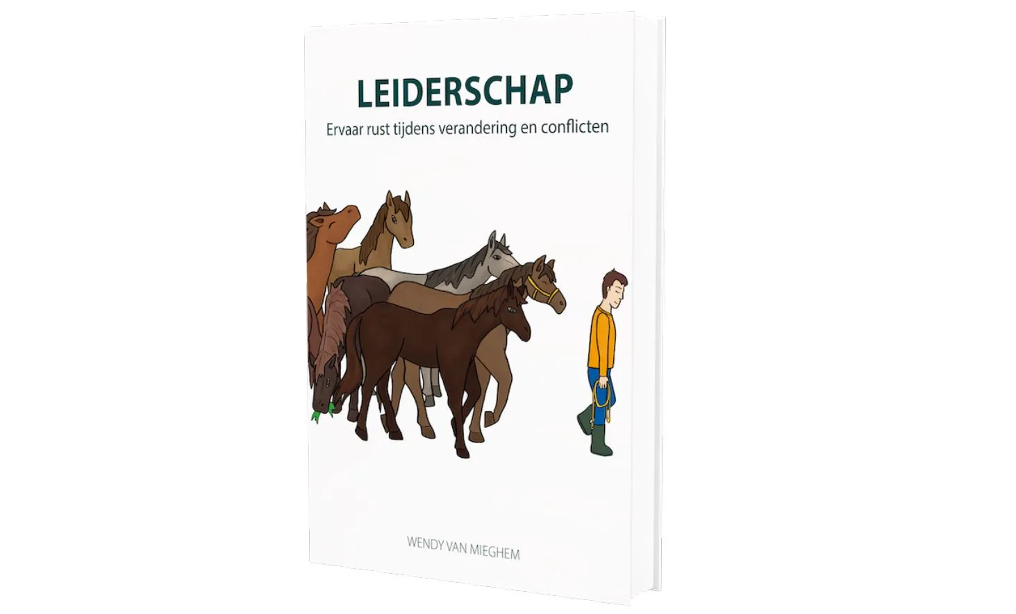 cover van het boek leiderschap psychologieboekeneu