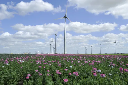 csm eemshaven t 21 07 2015 181a11b98d