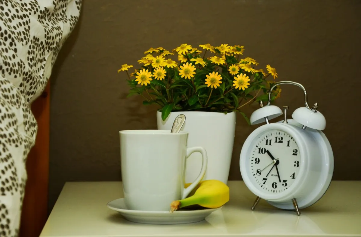cup bed flowers recovery ill alarm clock get well soon still life 726367jpgd griep verkoudheid ziek