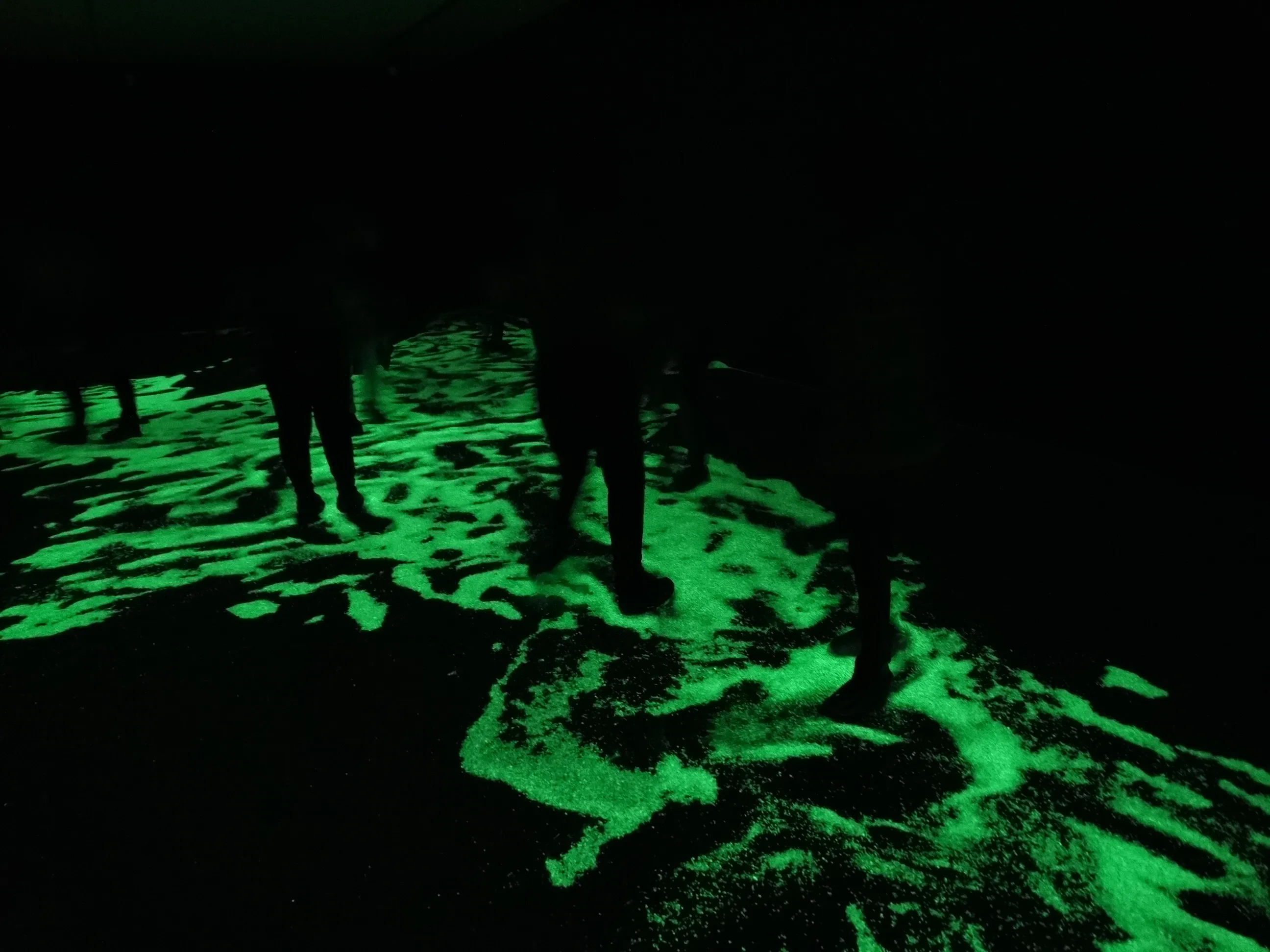 daan roosegaarde