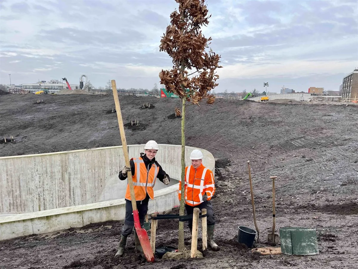 de eerste boom werd met een extra grote schop geplant foto aanpak ring zuid