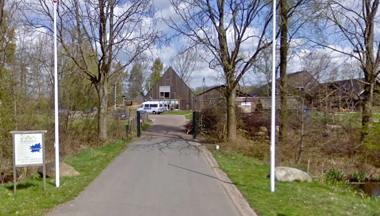 de mikkelhorst haren