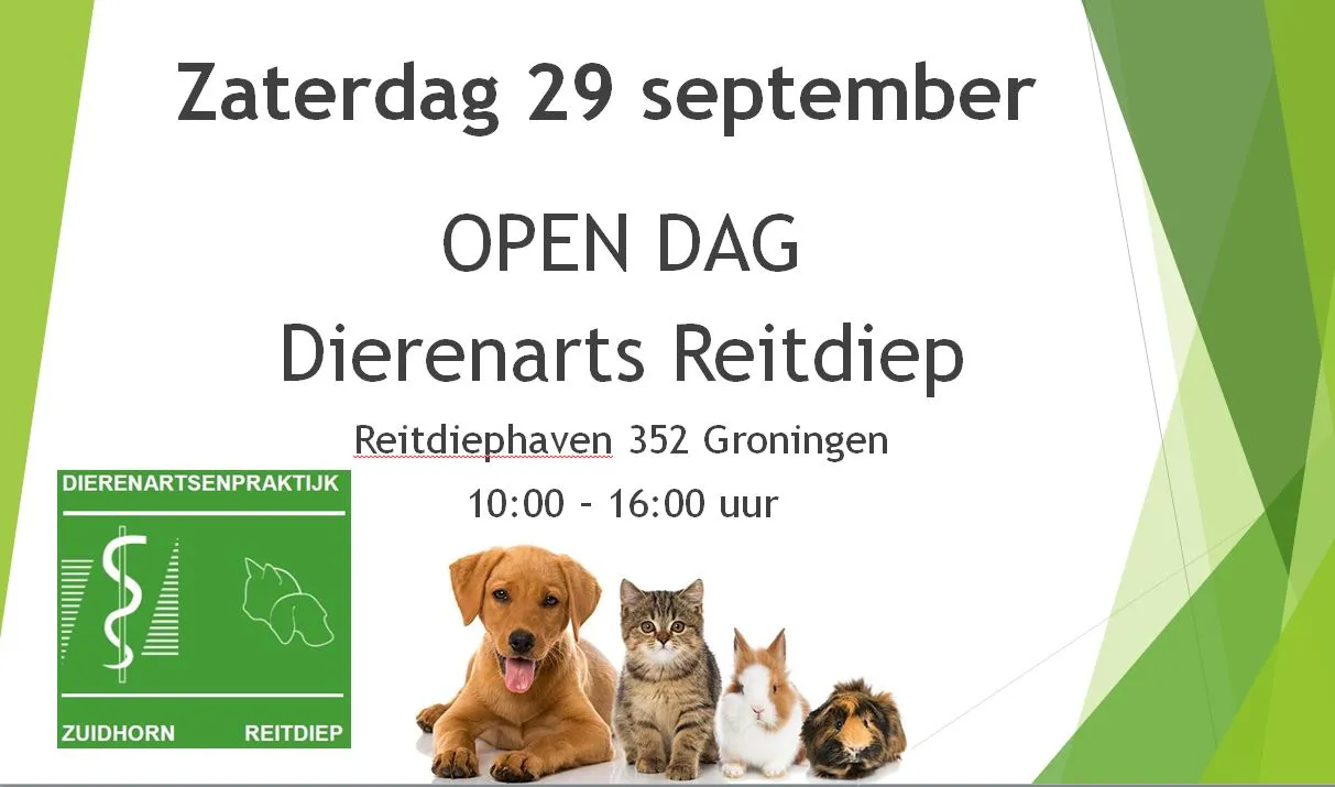 dierenarts reitdiep open dag