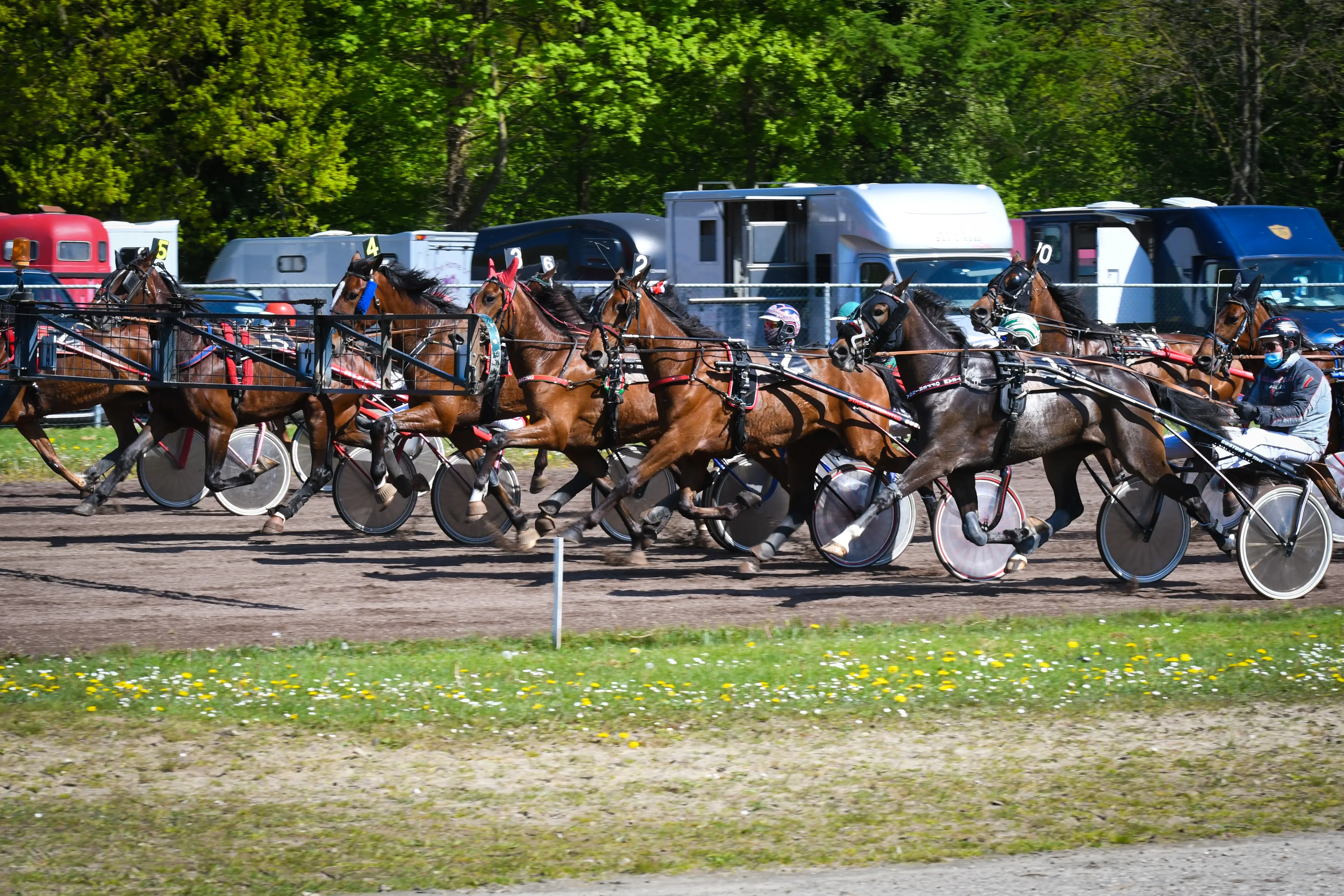 dsc 2942 khrv geert koops
