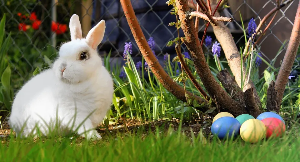 easter 2173193 960 720