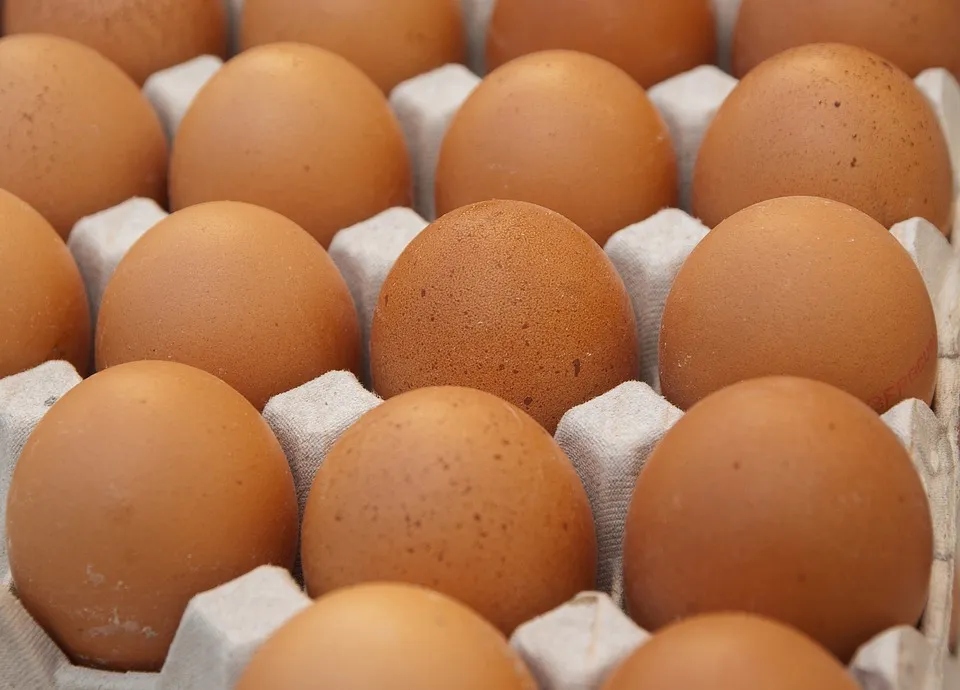 eggs 1882837 960 720 eieren