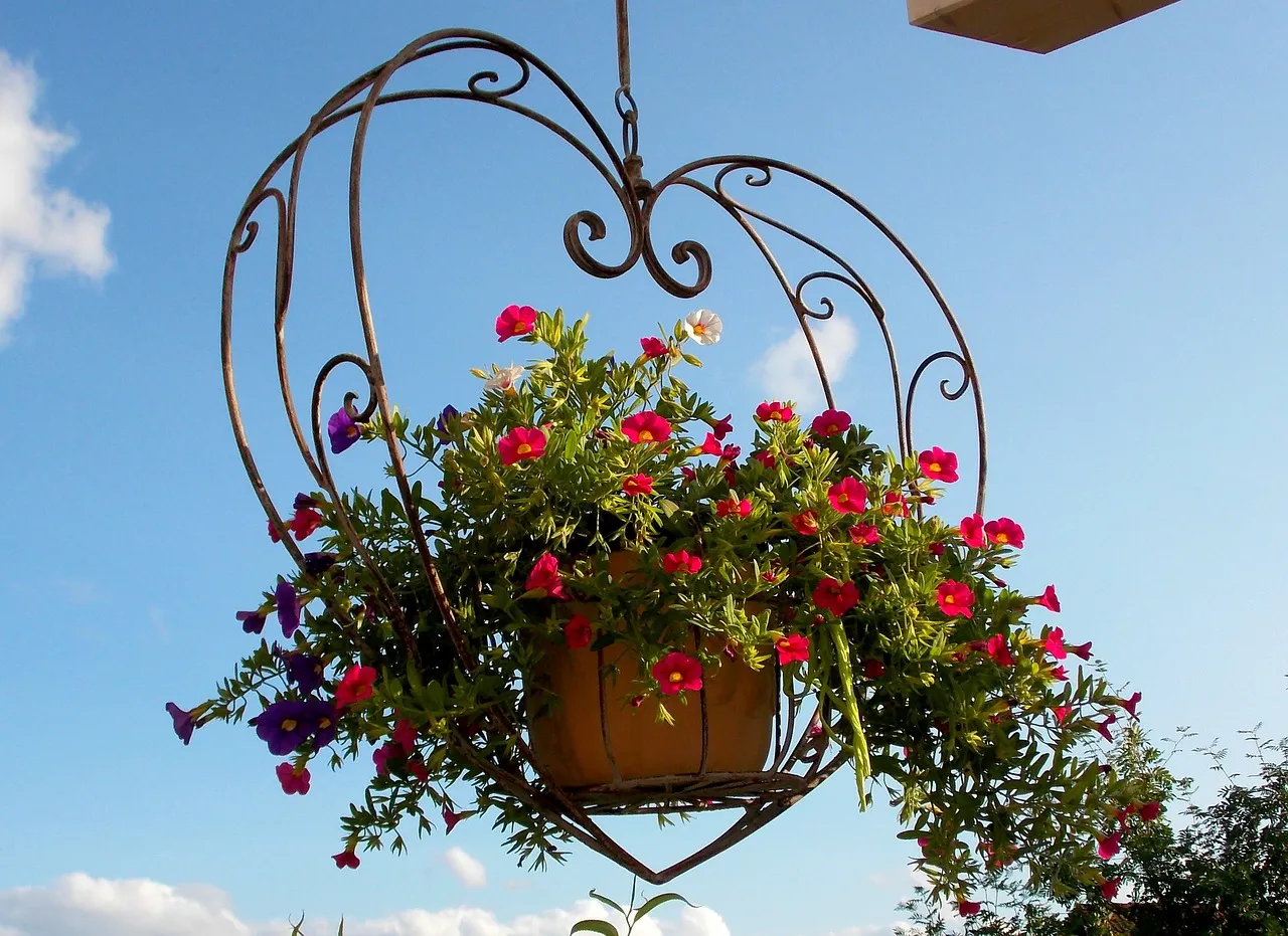 exterior decoration 242168 1280 bloem tuin decoratie zomer