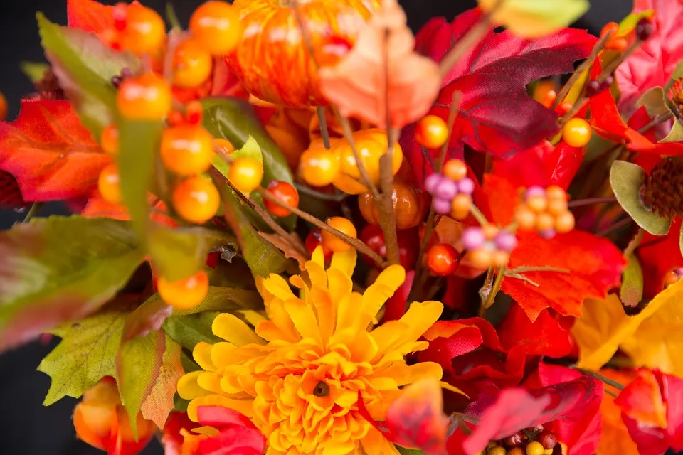 fall flowers 2716514 960 720