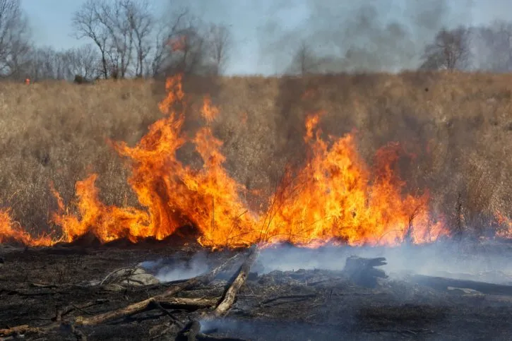 fire burn birning flame 725x483 natuurbrand