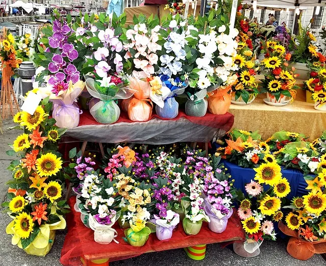 flower 352594 640
