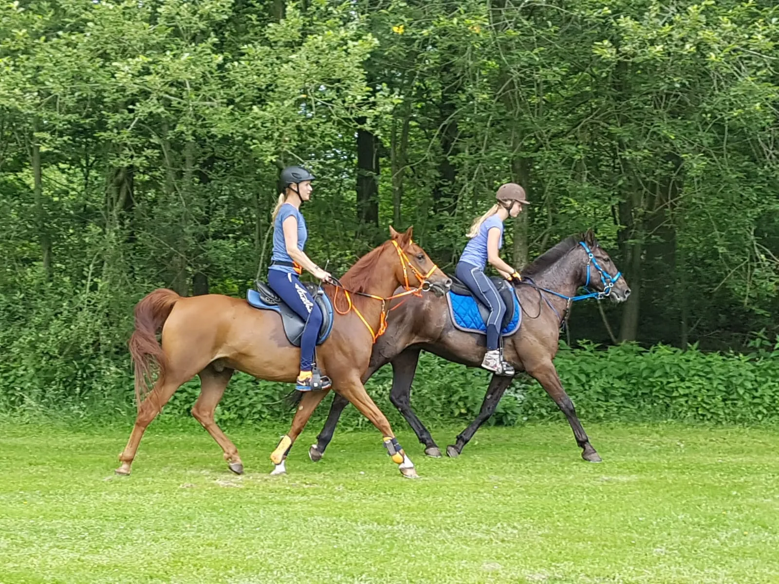 foto enduranceesther maring en marielle wieringa