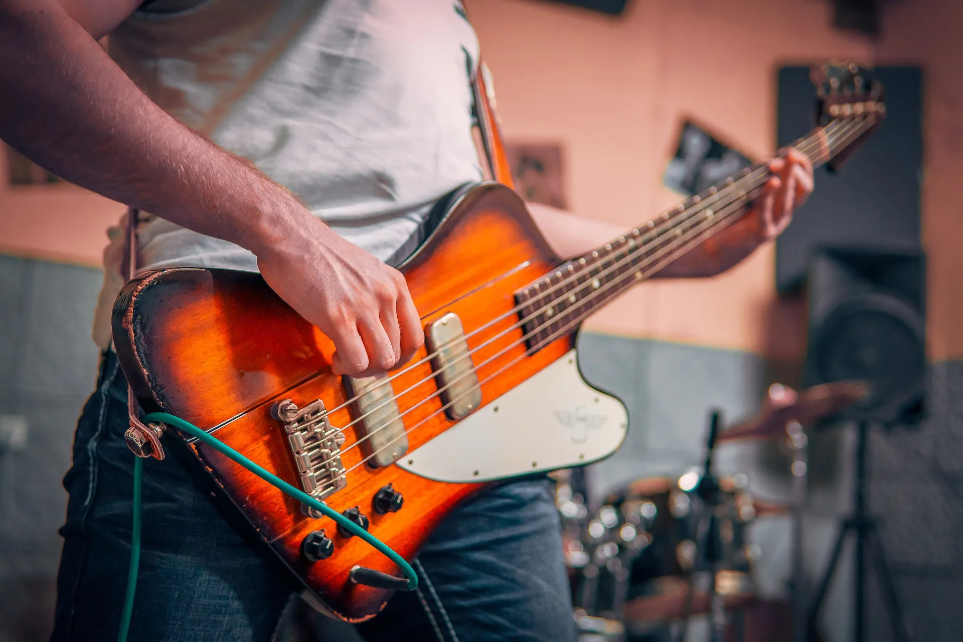 guitar 4880822 1920 dmitry demidov via pixabay gitaar