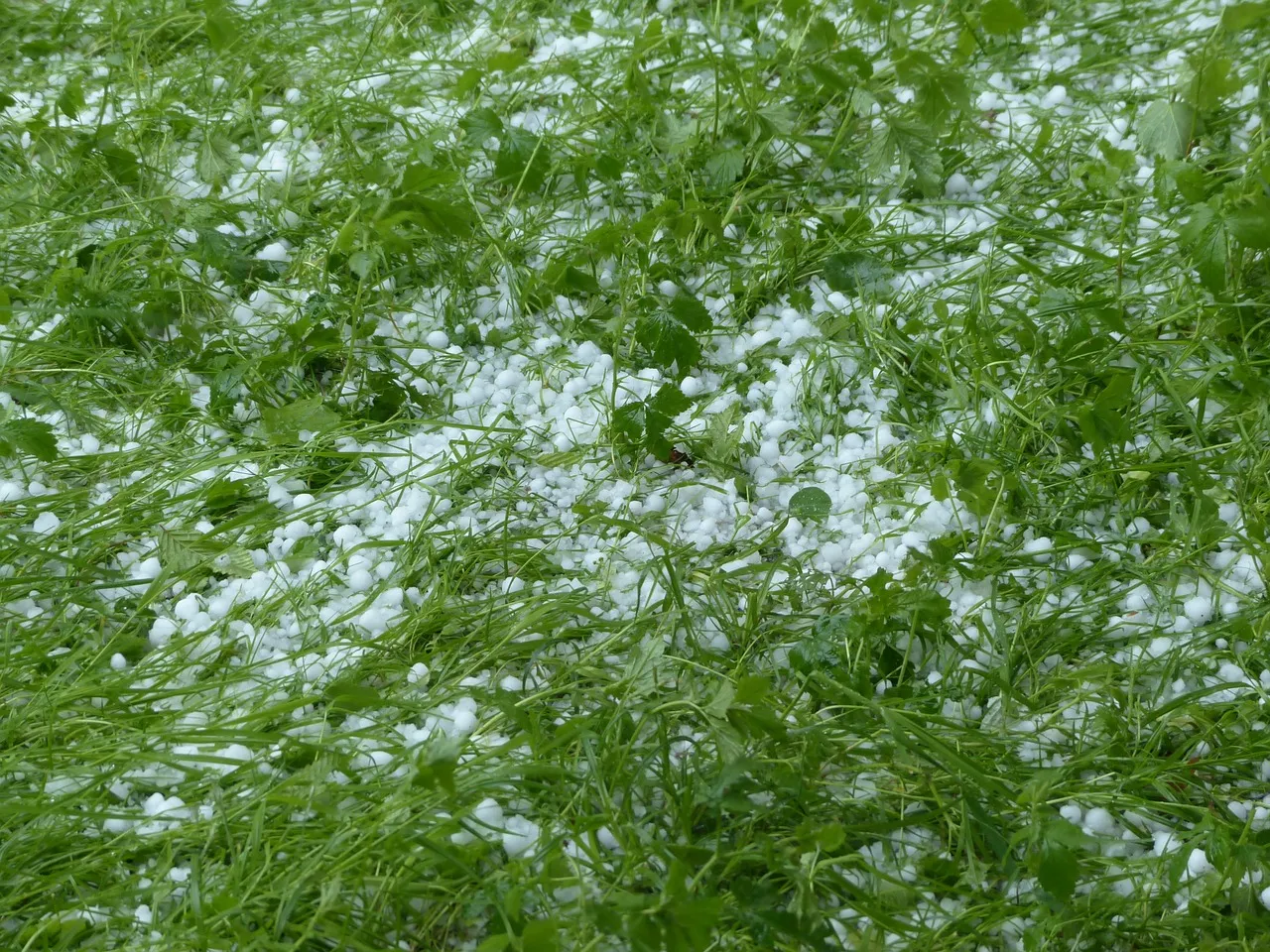 hagel 123044 1280