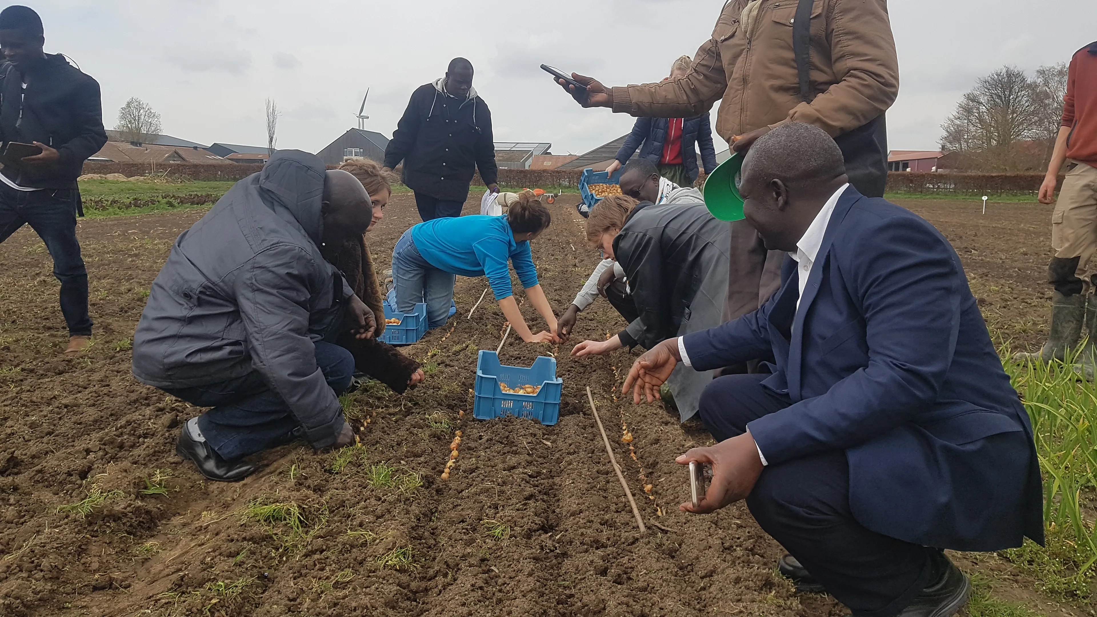 hanze university foundation aardappelproject 1