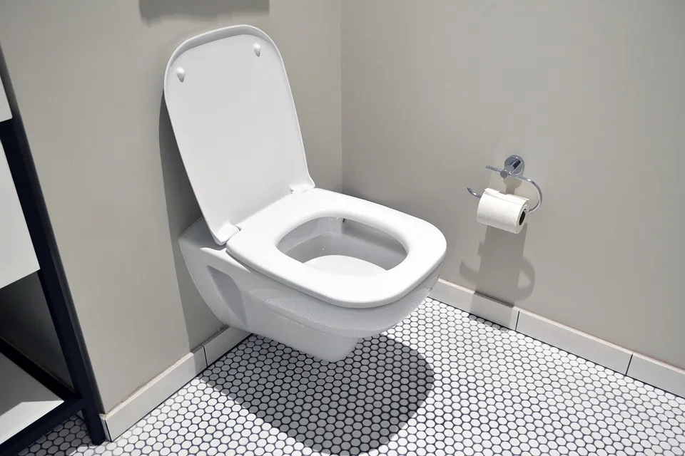 hotel 5871016 960 720 wc toilet plassen man