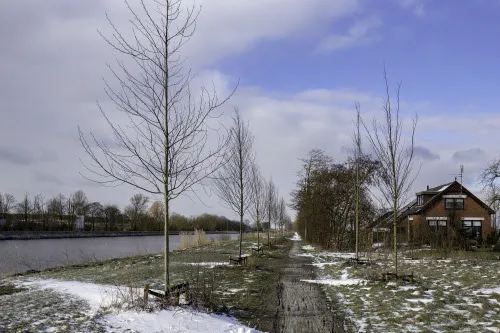 ieuw fietspad tussen paddepoelsterweg en reitdiep