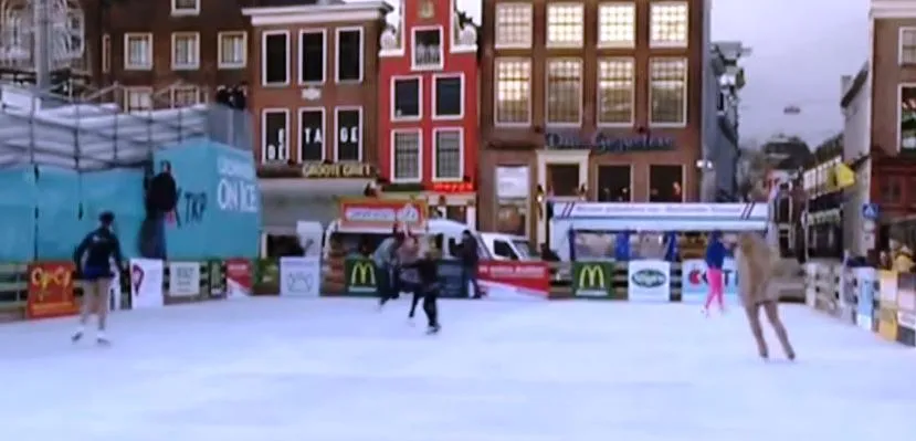 ijsbaan grote markt beeldcitaat rtv oog