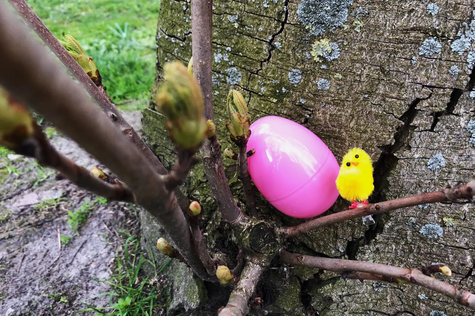 img 20190412 wa00044 1 paaseieren zoeken marketing groningen