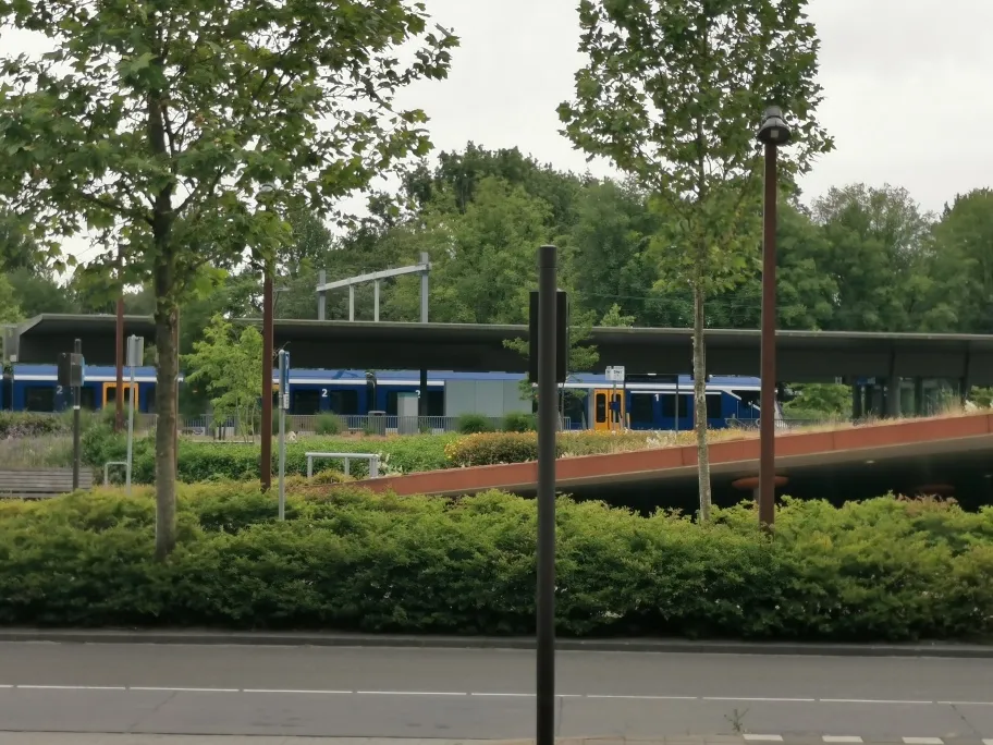 img 20190704 203037 resized 20190729 074503328